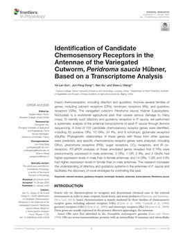 Identification of Candidate Chemosensory Receptors in the Antennae of the Variegated Cutworm, Peridroma Saucia Hübner, Based On