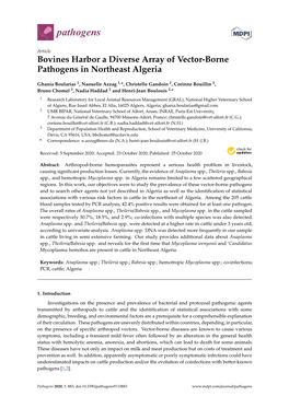 Bovines Harbor a Diverse Array of Vector-Borne Pathogens in Northeast Algeria