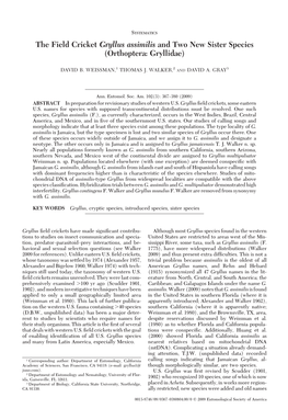 The Field Cricket Gryllus Assimilis and Two New Sister Species (Orthoptera: Gryllidae)