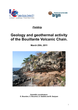 Geology and Geothermal Activity of the Bouillante Volcanic Chain
