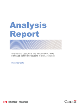 Analysis Report