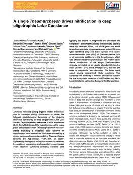 A Single Thaumarchaeon Drives Nitrification in Deep Oligotrophic