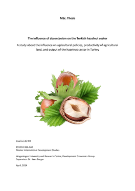 The Influence of Absenteeism on the Turkish Hazelnut Sector