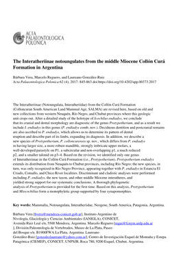 The Interatheriinae Notoungulates from the Middle Miocene Collón Curá Formation in Argentina