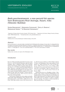 Badis Pancharatnaensis, a New Percoid Fish Species from Brahmaputra River Drainage, Assam, India (Teleostei: Badidae)