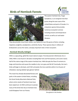 Birds of Hemlock Forests