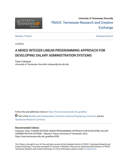 A Mixed Integer Linear Programming Approach for Developing Salary Administration Systems