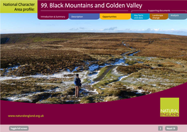 99. Black Mountains and Golden Valley Area Profile: Supporting Documents