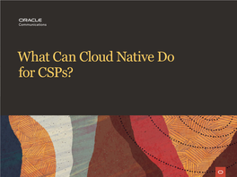 (PDF) What Can Cloud Native Do for Csps?