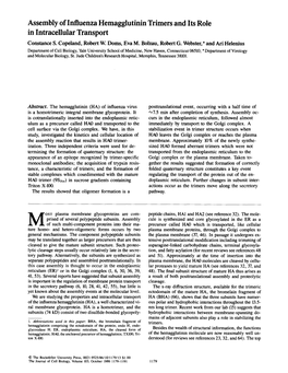 Assembly of Influenza Hemagglutinin Trimers and Its Role in Intracellular Transport