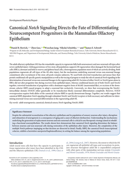 Canonical Notch Signaling Directs the Fate of Differentiating Neurocompetent Progenitors in the Mammalian Olfactory Epithelium