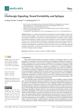 Cholinergic Signaling, Neural Excitability, and Epilepsy