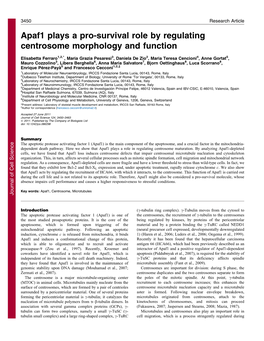 Apaf1 Plays a Pro-Survival Role by Regulating Centrosome Morphology and Function