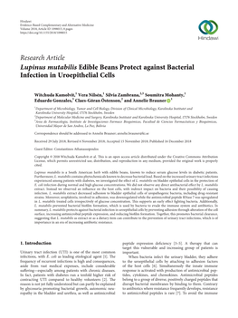 Lupinus Mutabilis Edible Beans Protect Against Bacterial Infection in Uroepithelial Cells