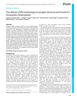 The Effects of ER Morphology on Synaptic Structure and Function in Drosophila Melanogaster James B