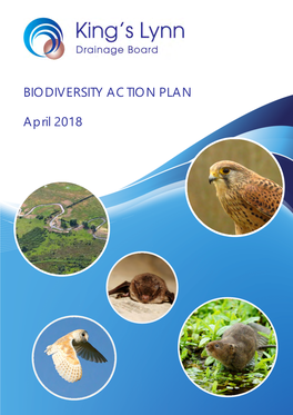 IDB Biodiversity Action Plan