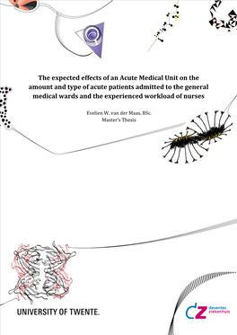 The Expected Effects of an Acute Medical Unit on the Amount and Type of Acute Patients Admitted to the General Medical Wards and the Experienced Workload of Nurses