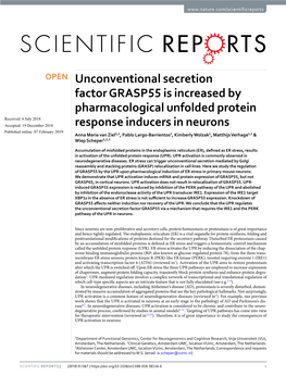 Unconventional Secretion Factor GRASP55 Is Increased by Pharmacological Unfolded Protein Response Inducers in Neurons