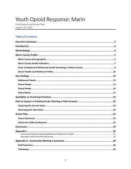 Youth Opioid Response (YOR) Team Action Plan