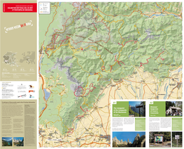 TREKKING in PIANCAVALLO and in the FRIULIAN DOLOMITES the Viewpoint of the Campanile Di Val Montanaia Dinosaur Footprints Of