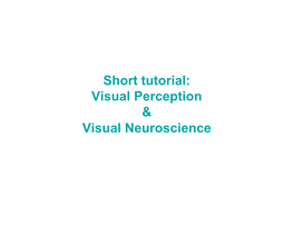 Visual Perception & Visual Neuroscience