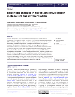 Epigenetic Changes in Fibroblasts Drive Cancer Metabolism and Differentiation