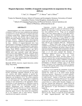 Stability of Magnetic Nanoparticles in Suspension for Drug Delivery