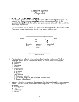 1 ANATOMY of the DIGESTIVE SYSTEM 1. the Digestive System