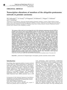 Proteasome Network in Prostate Carcinoma