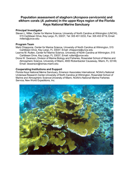Acropora Cervicornis) and Elkhorn Corals (A