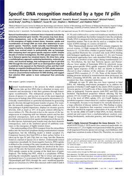 Specific DNA Recognition Mediated by a Type IV Pilin