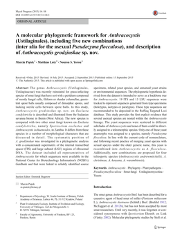 A Molecular Phylogenetic Framework for Anthracocystis (Ustilaginales)