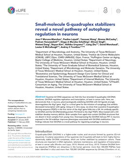 Small-Molecule G-Quadruplex Stabilizers Reveal a Novel Pathway