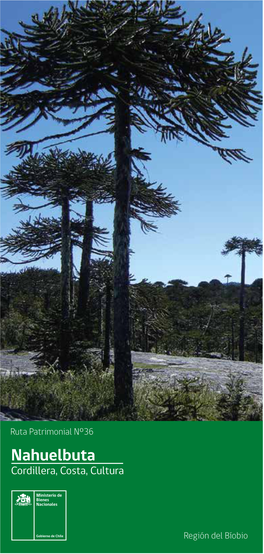 Nahuelbuta Cordillera, Costa, Cultura