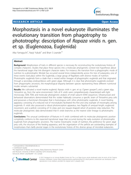 Morphostasis in a Novel Eukaryote Illuminates the Evolutionary Transition from Phagotrophy to Phototrophy: Description of Rapaza Viridis N