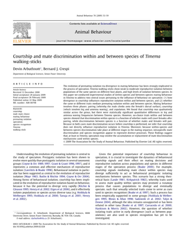 Courtship and Mate Discrimination Within and Between Species of Timema Walking-Sticks