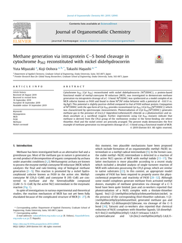 Methane Generation Via Intraprotein C-S Bond Cleavage in Cytochrome