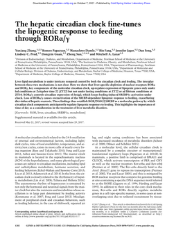 The Hepatic Circadian Clock Fine-Tunes the Lipogenic Response to Feeding Through Rorα/Γ