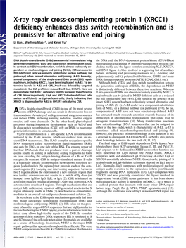 (XRCC1) Deficiency Enhances Class Switch Recombination and Is