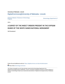 A Survey of the Insect Orders Present in the Gypsum Dunes of the White Sands National Monument