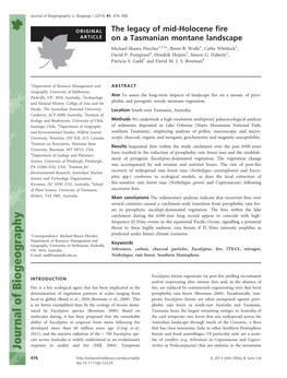 The Legacy of Mid-Holocene Fire on a Tasmanian Montane Landscape