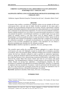 Chronic Salpingitis in Collared Forest-Falcon (Micrastur Semitorquatus - Vieillot, 1817)