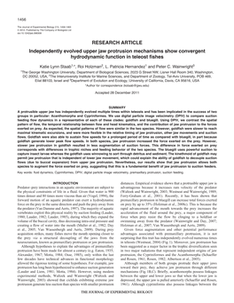 RESEARCH ARTICLE Independently Evolved Upper Jaw Protrusion Mechanisms Show Convergent Hydrodynamic Function in Teleost Fishes