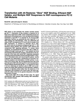 Slow” NGF Binding, Efficient NGF Uptake, and Multiple NGF Responses to NGF-Nonresponsive PC12 Cell Mutants