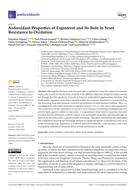 Antioxidant Properties of Ergosterol and Its Role in Yeast Resistance to Oxidation