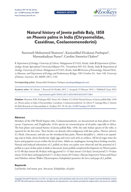 ﻿Natural History of Javeta Pallida Baly, 1858 on Phoenix Palms in India (Chrysomelidae, Cassidinae, Coelaenomenoderini)