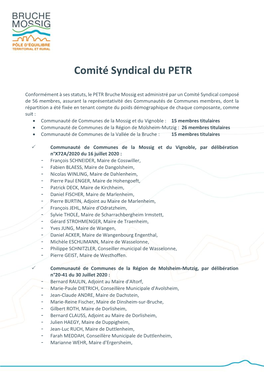 Comité Syndical Du PETR