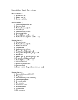 1. Brachialis (Cut) 2. Biceps Brachii 3. Coracobrachialis Muscle Chart #2