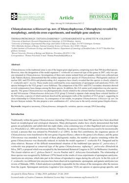 Chlamydomonas Schloesseri Sp. Nov. (Chlamydophyceae, Chlorophyta) Revealed by Morphology, Autolysin Cross Experiments, and Multiple Gene Analyses