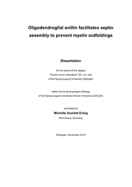 Oligodendroglial Anillin Facilitates Septin Assembly to Prevent Myelin Outfoldings